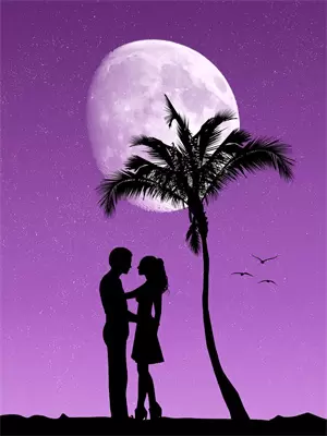 暗夜疯魇：禁区的诅咒