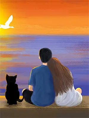 林晚晚沈默